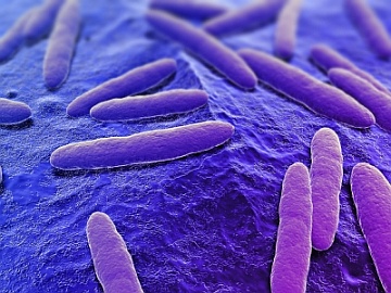 Powłoka antybakteryjna